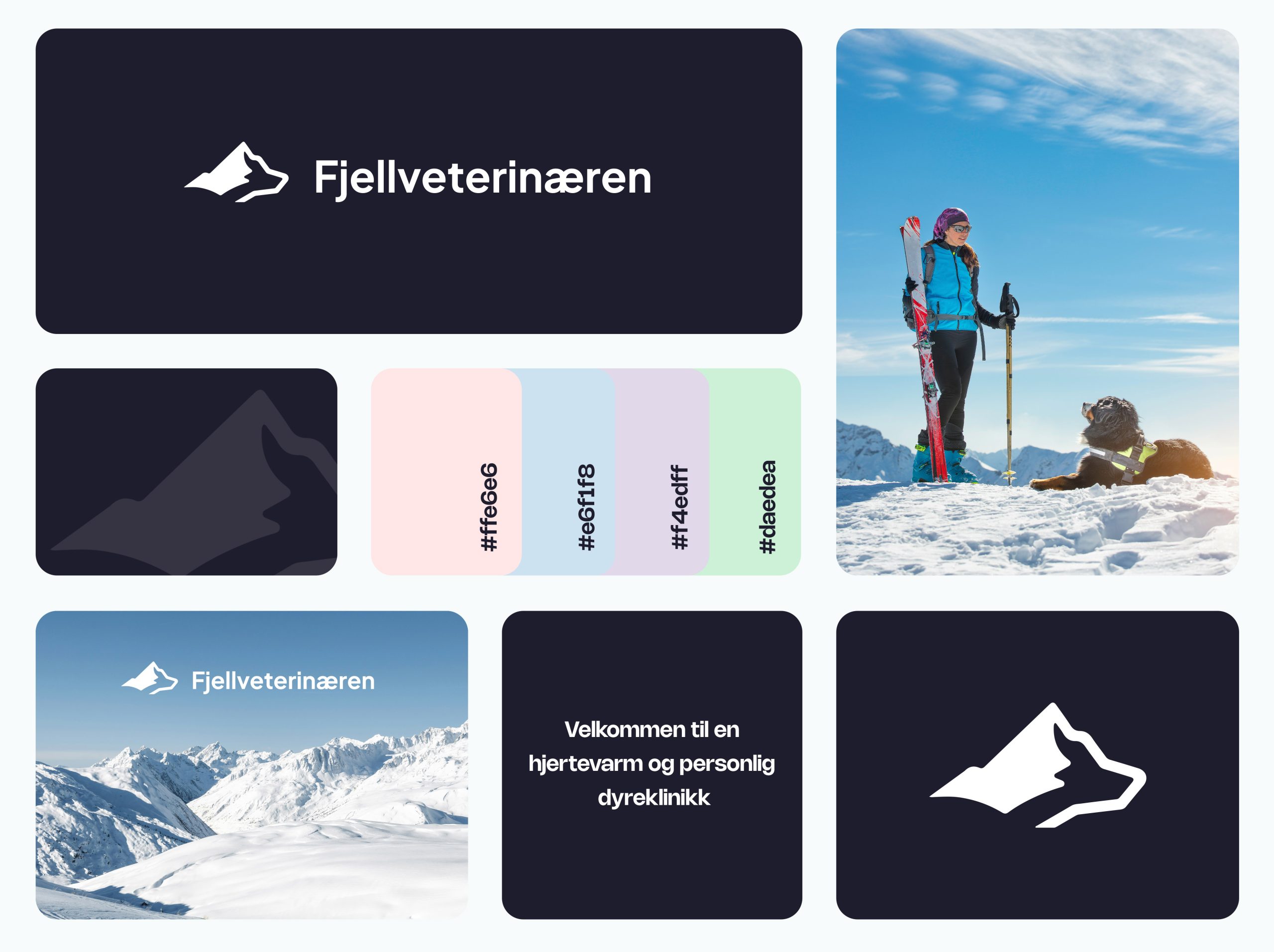 Fjellveterinærens brand guide