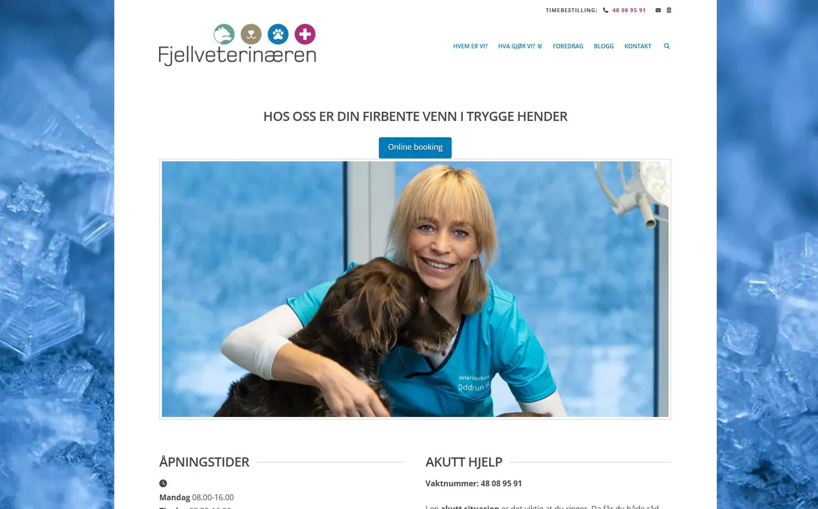 Gamle fjellveterinæren.no