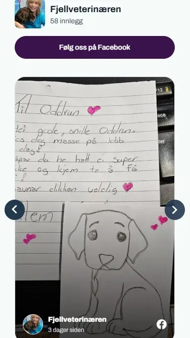 Hvem er Fjellveterinæren-siden