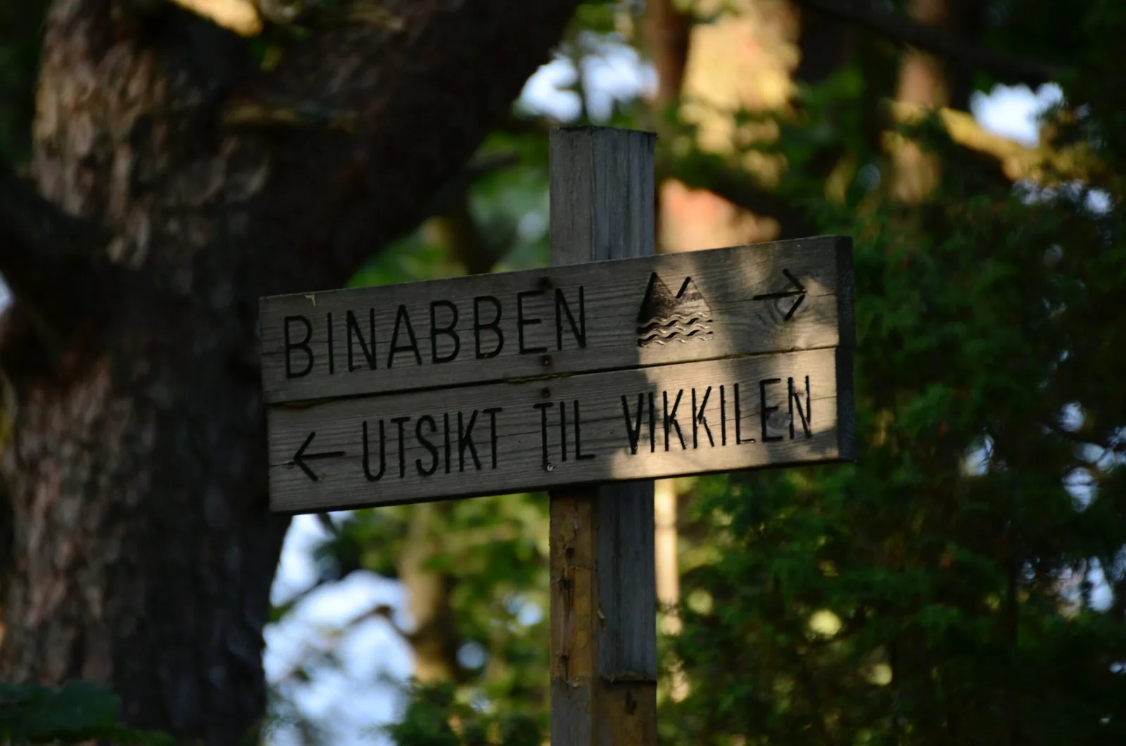 Digital modernisering for små bedrifter