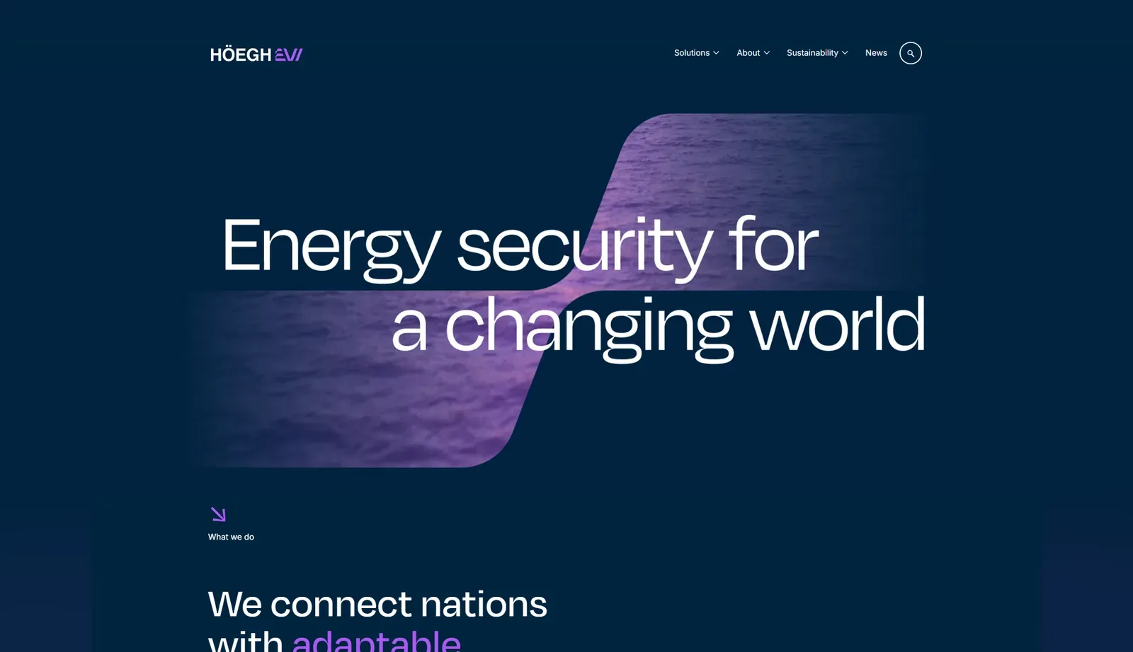 Hosting, drift og Wordpress nettside for Höegh Evi
